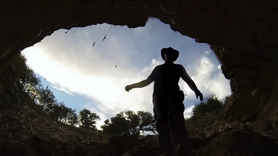 Пещера с летучими мышами смотреть онлайн
