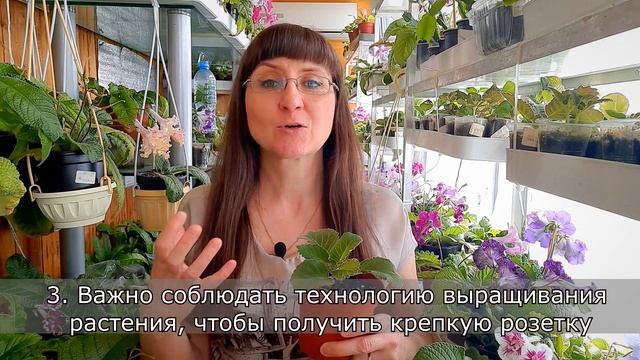 Строительные Премьеры