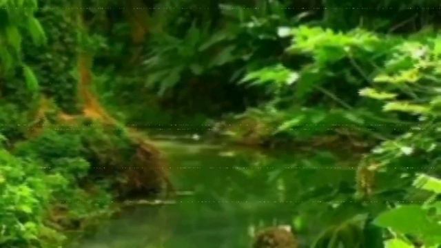 37 уровень - Добро пожаловать в джунгли! (The backrooms) смотреть онлайн