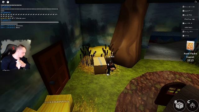 Совместное игры с подписчиками в Роблокс смотреть онлайн