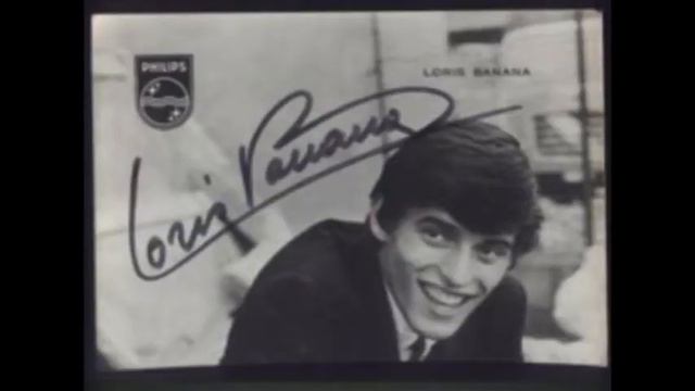 loris banana povero flipper.mpg смотреть онлайн