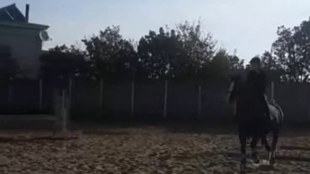 Суть тренда показать своё хобби💞 смотреть онлайн