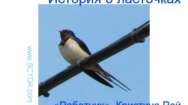 История о ласточках 1/2 Кристина Рой смотреть онлайн