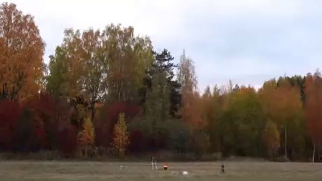 Что будет, если в кипящее масло бросить банку консервов смотреть онлайн