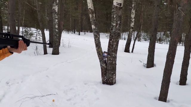 Винтовка Borner Beta XSB1