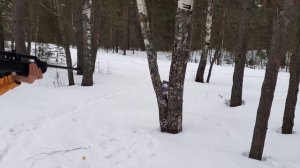 Винтовка Borner Beta XSB1