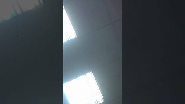 БЕЗДЕЙСТВИЕ ПРОКУРАТУРА смотреть онлайн