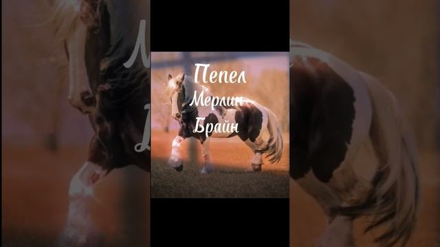 Красивые имена для лошадки)☀️ смотреть онлайн