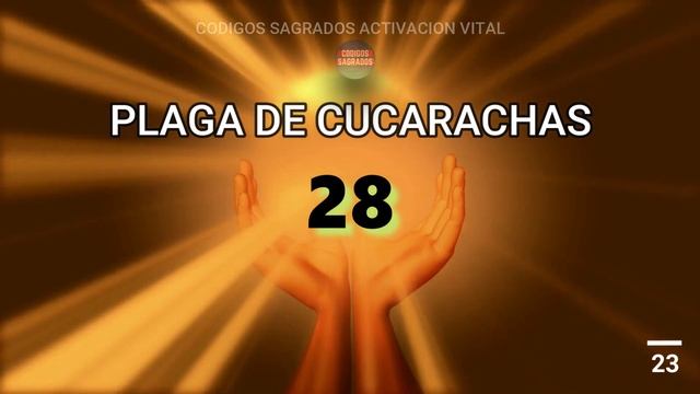 ☯? Código Sagrado 28 para combatir PLAGA DE CUCARACHAS?☯ смотреть онлайн