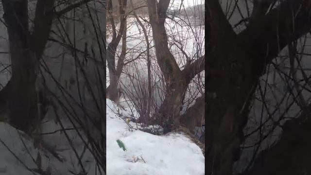 ДЕСНА-УТКИ ФЕВРАЛЬ смотреть онлайн