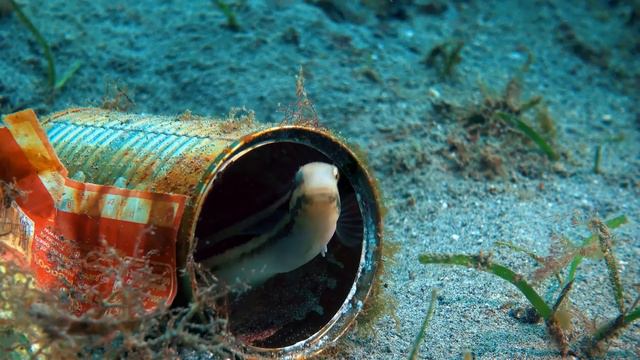 Новое искусство расслабления ♥ подводное видео ♥ расслабляющая музыка ♥Underwater♥ Relax Music смотреть онлайн