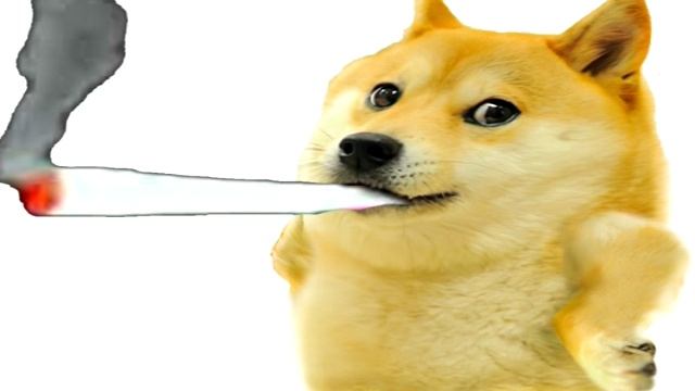 Funny_yellow_pes.mpg