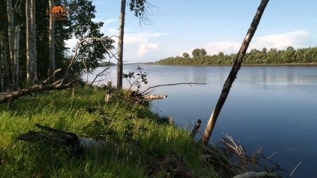 Сплав по Западно-Сибирской реке Обь в одиночку. Томск- Стрежевой. Часть 5. День 4. смотреть онлайн