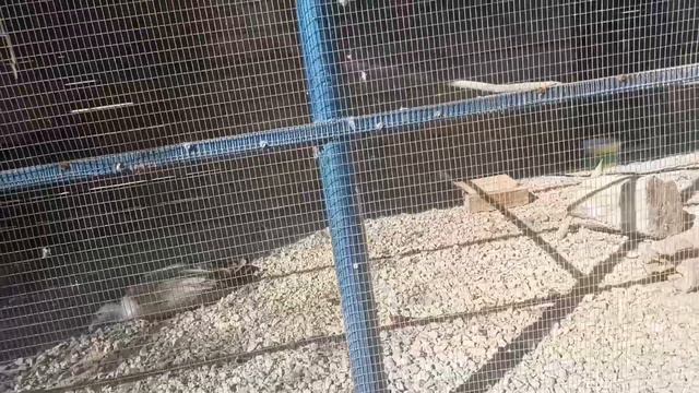 МЫ В ОСЕТИИ / МОИ ВЫИГРЫШИ / ИДËМ В ЗООПАРК смотреть онлайн