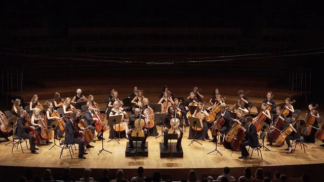 Giovanni Sollima - Violoncellez, Vibrez! Denis Severin, Justus Grimm, ICA Orchestra смотреть онлайн