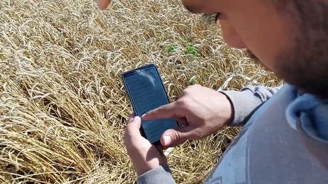 Результаты дифвнесения удобрений с использованием Биоиндекса и NDVI / Уборка / Кущевка смотреть онлайн