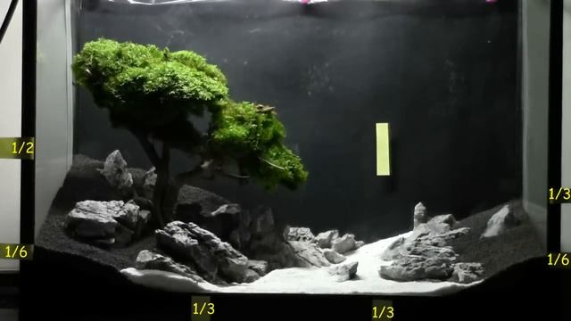 Bonsai Aquarium Acquario Bonsai Step by Step смотреть онлайн