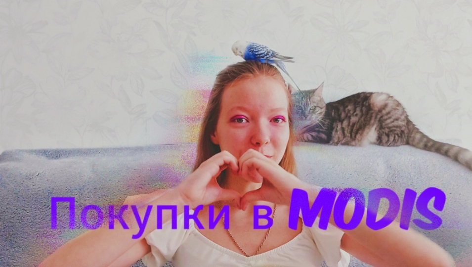 Покупки в MODIS