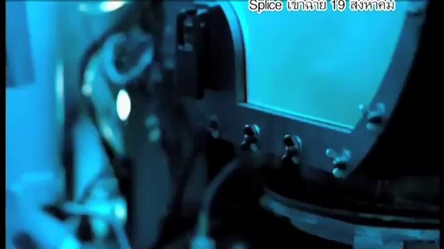 W8 T3 смотреть онлайн