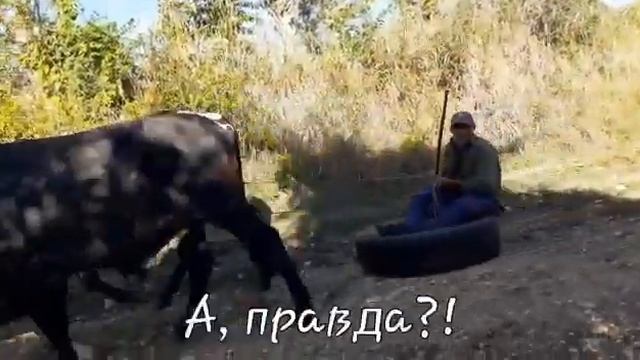 А ТЫ ЗНАЕШЬ, КАК ЧЕЛОВЕК ПРИДУМАЛ КОЛЕСО? смотреть онлайн