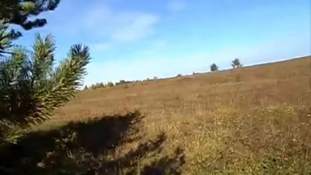 Наша гордость Пермогорье! смотреть онлайн