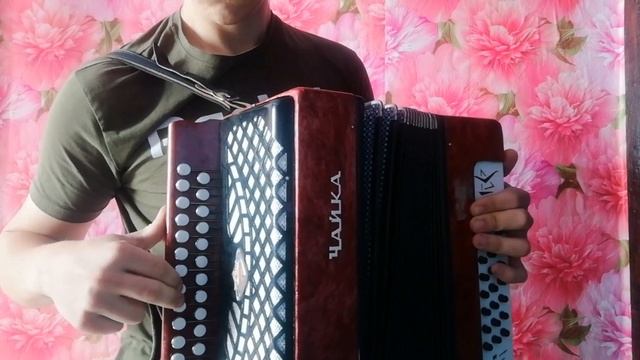 Вологда, разбор на (гармони). смотреть онлайн