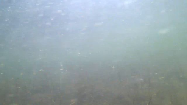 Соруг 2018 озера и рыба под водой 2ч смотреть онлайн