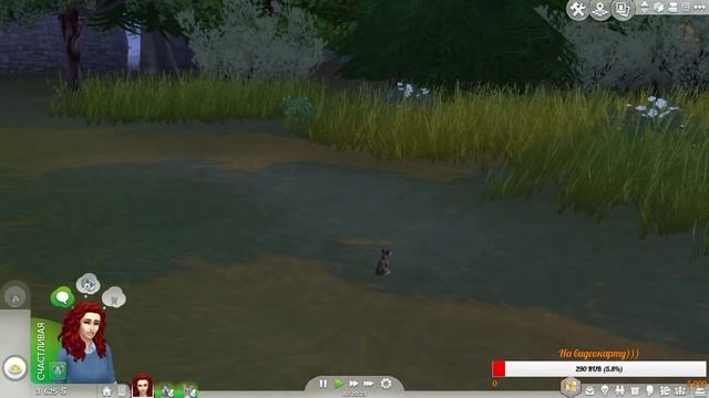 ?The Sims 4:КОШКИ И СОБАКИ:Прямая трансляция ? смотреть онлайн