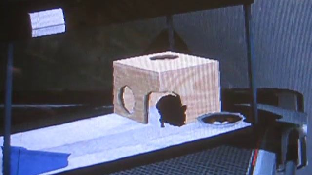 Mass Effect 2 Space Hamster смотреть онлайн