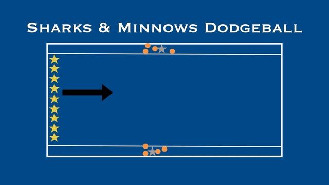 Sharks & Minnows Dodgeball смотреть онлайн