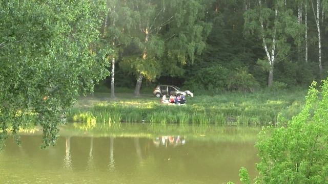 Summer Evening, Moscow Distr. Лето, вечер, Подмосковье (1433sp) смотреть онлайн