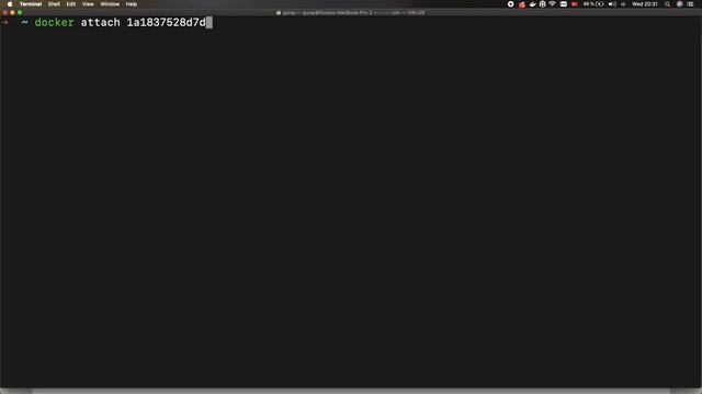 Docker ve Konteynerlere Giriş Eğitimi #11 | Attach: Arkaplandaki Containerlara Bağlanmak смотреть онлайн