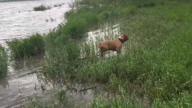 Поездка в Манжерок Горный Алтай 2019г. смотреть онлайн