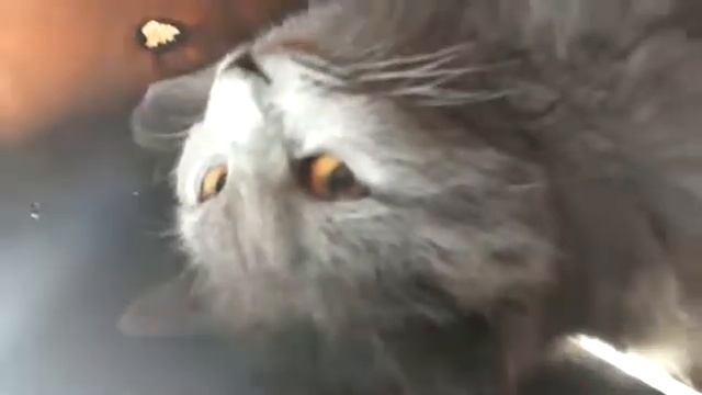 Мои ноги молодцы я не жду до пятницы смотреть онлайн