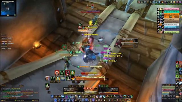 Necksurgeon - WOW 5.4 Assassination Rogue RBG Video 22 смотреть онлайн