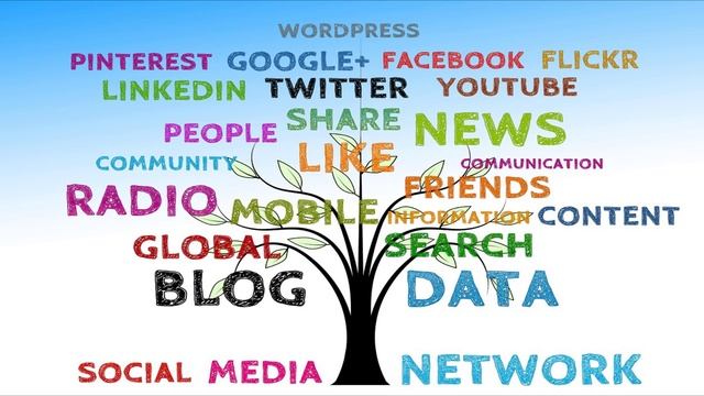 Translanguaging смотреть онлайн
