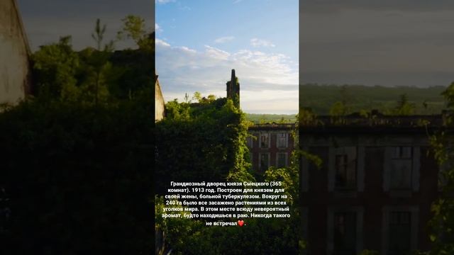 Дворец князя Смецкого смотреть онлайн