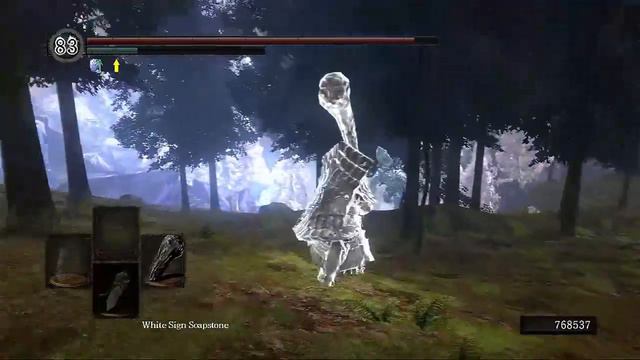 Dark Souls: Havel (Syferds) & Tarkus (Dusty Arrow) Co-Op Playthrough | Part 13 смотреть онлайн