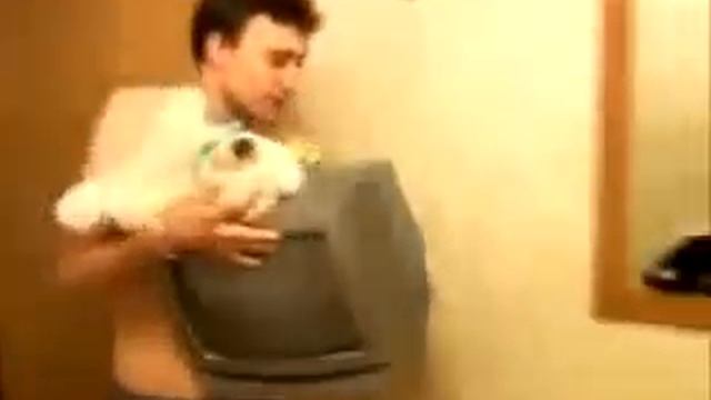 Нас топят, держи банан, бери телевизор, спасай мишку, бросай меня и лезь в шкаф смотреть онлайн