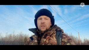 Снегоход Динго 125.плюсы и минусы.