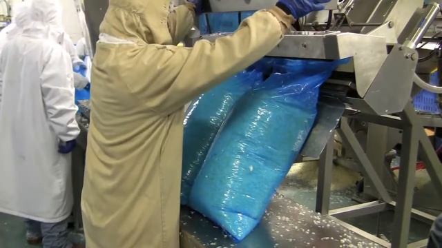 CVP A600 бескамерная вакуумная упаковка лука смотреть онлайн