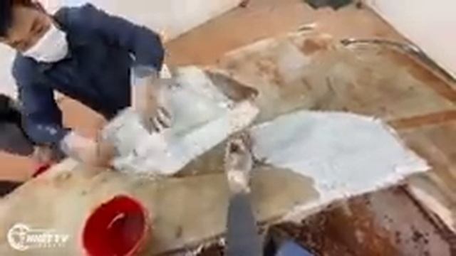 Complete body mold for homemade Ferrari | Homemade supercar Ferrari Laferrari смотреть онлайн