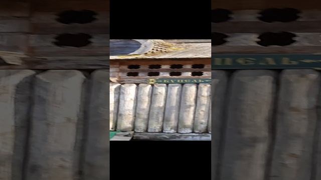 Гремячий ключ. смотреть онлайн