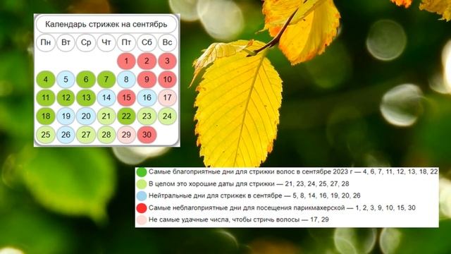 Лунный календарь стрижек на сентябрь 2023. Благоприятные дни для стрижки волос в сентябре 2023 смотреть онлайн