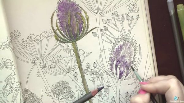 Раскрашиваю карандашами Derwent GRAPHITINT / Чертополох / Раскраска-антистресс 'Flower year'