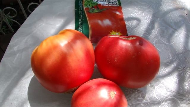 Урожайные и вкусные томаты завалили нас в июле! Обзор томатов. смотреть онлайн