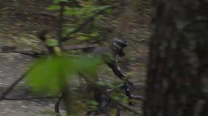 ХАРДТЕЙЛ ИЛИ ДВУХПОДВЕС? Что купить?