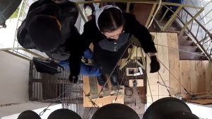 Монастырский звон. Екатерина Рассказова. Фестиваль звонов на Китайском подворье. 14 октября 2017г.