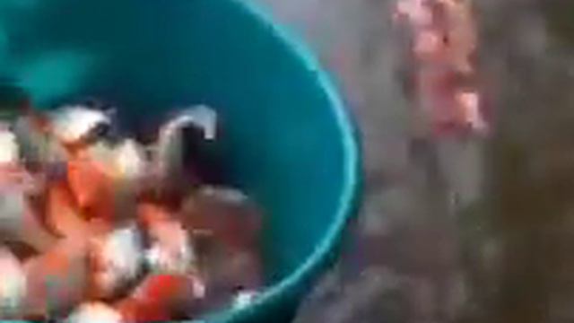 учитесь мужики как надо ловить рыбу смотреть онлайн