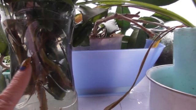 BLOG/ Девичья память /Влоги из Мурманска смотреть онлайн